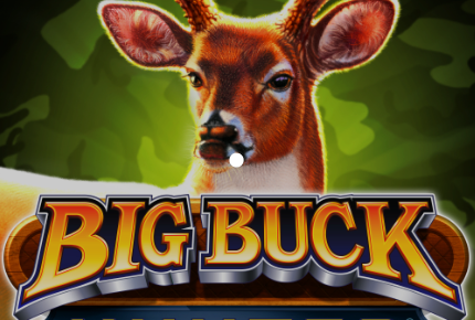 Tips and Tricks to win in Big Buck Hunter: Marksman 2022